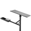 Rygh-Zc-50W Solar Panel Powered Garden Post LED Street Lights 170lm/W