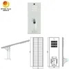 Government Project 8m 9m Complete Set 100W Solar Induction Street Lamp