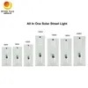 Governing Project 10m 11m 170lm/W 150W Solar Power Street Light System