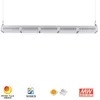 Rygh 250W Linear LED High Bay Light Garage Lighting Fixtures