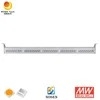 Rygh 250W Linear LED High Bay Light Garage Lighting Fixtures
