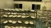 Rygh 80W UFO Highbay Supply Hall Bay LED Light NSF Food Light for Factory Food Processing Area