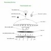 Rygh 200W NSF Rated Materials IP66 IP69K White 200W UFO High Bay LED Light for Food Processing Factory