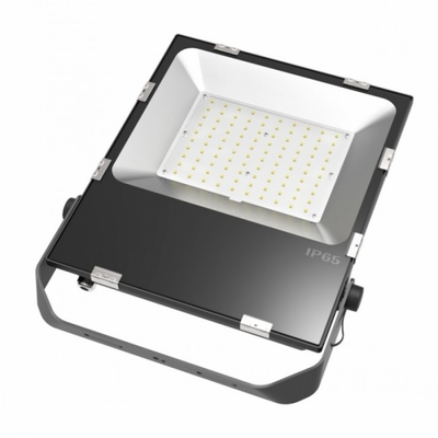 Waterproof 50w 270v  Outdoor Ground Flood Light Fixtures 100-110 Lm/w