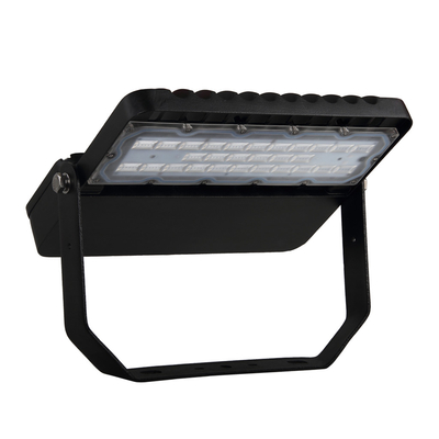 High Lumen Aluminum LED Street Light IP65 100W MEANWELL Driver AC 200-295V